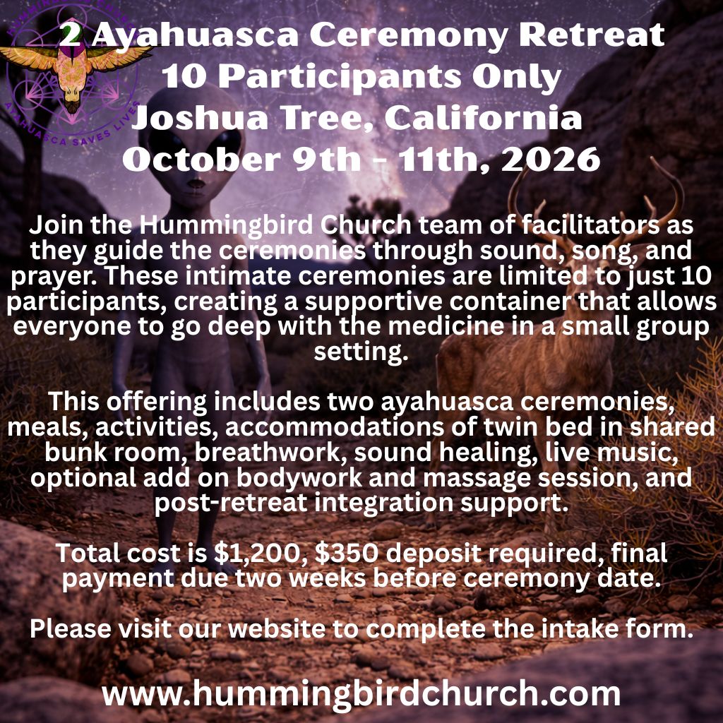 Ayahuasca ceremony