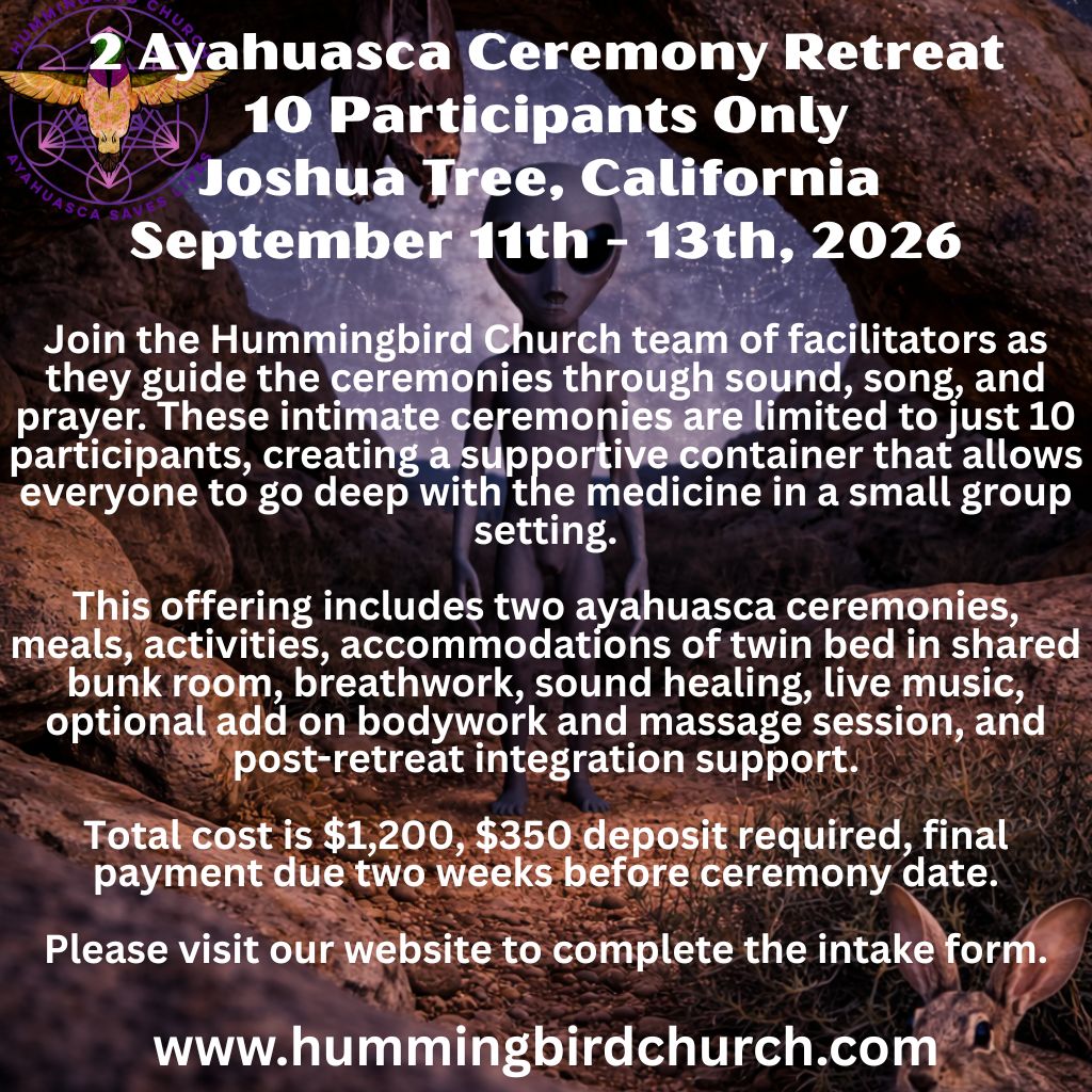 Ayahuasca ceremony