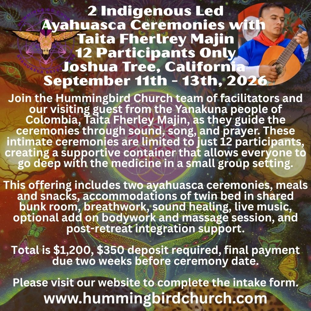 Ayahuasca ceremony