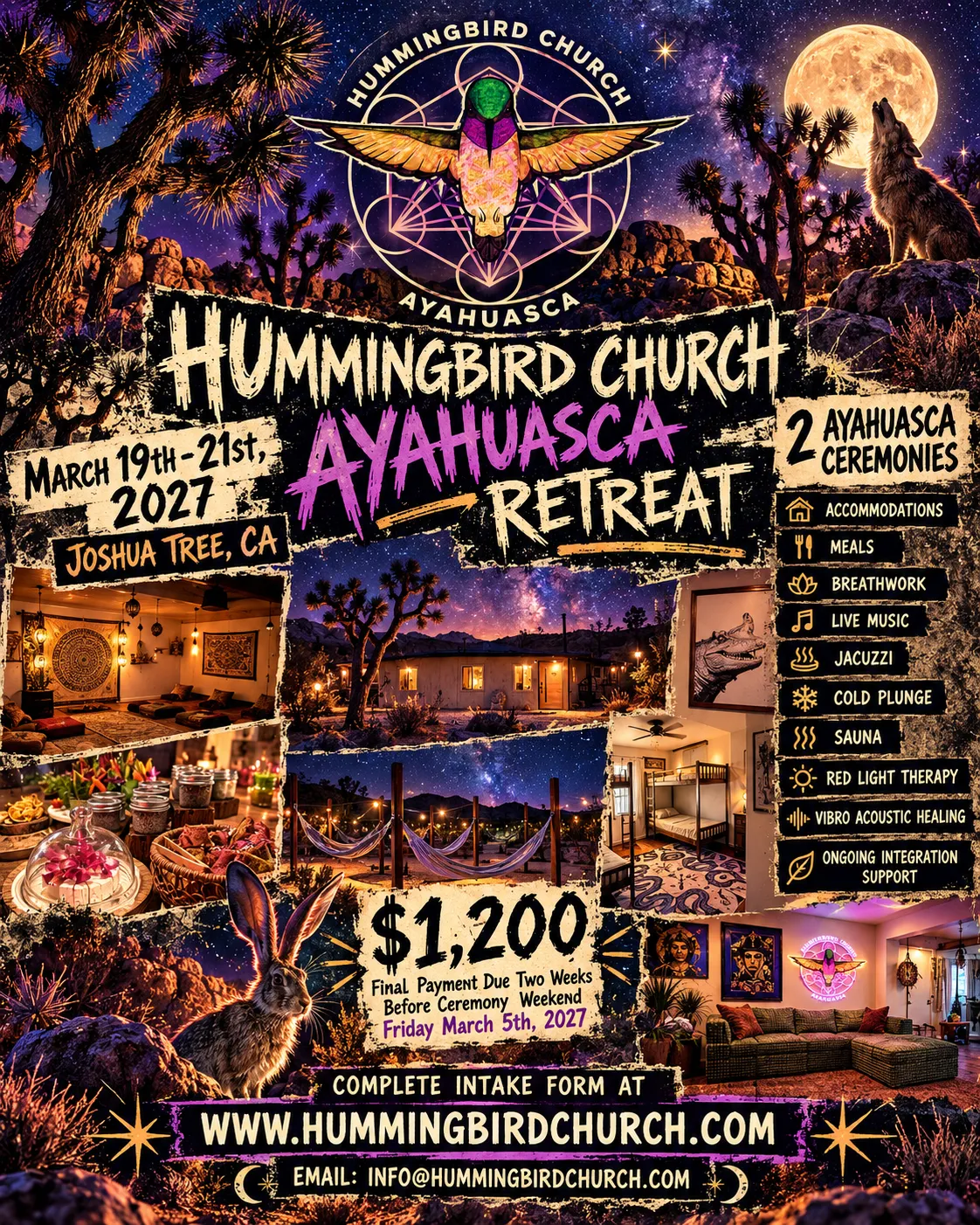 Ayahuasca ceremony