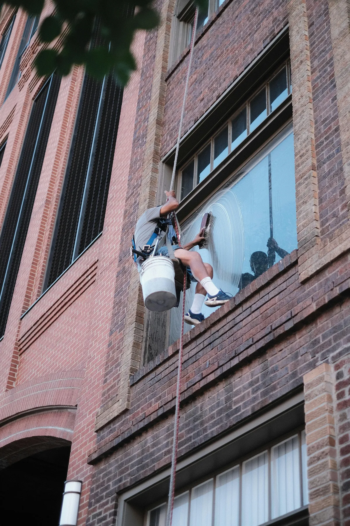 Professional external window cleaning service