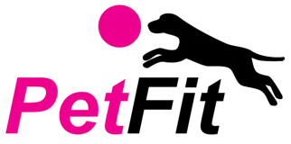 Dog receiving physiotherapy at PetFit Midrand