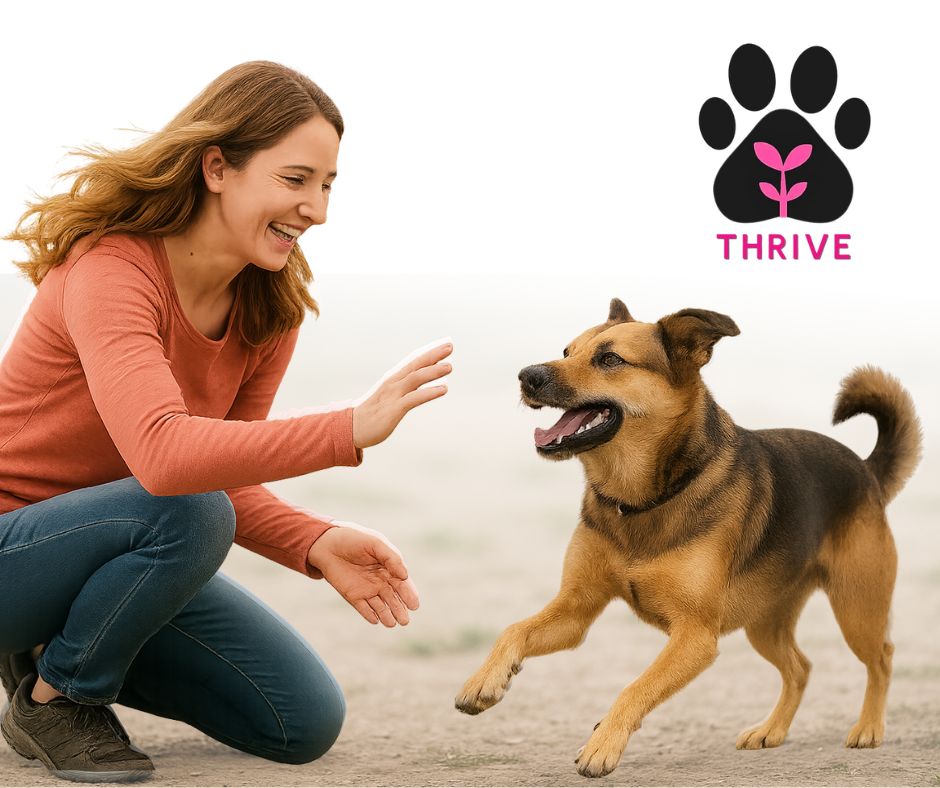 A fe, conveying health and vitality.ale dog owner playing with her healthy, happy dog, exuding vitality