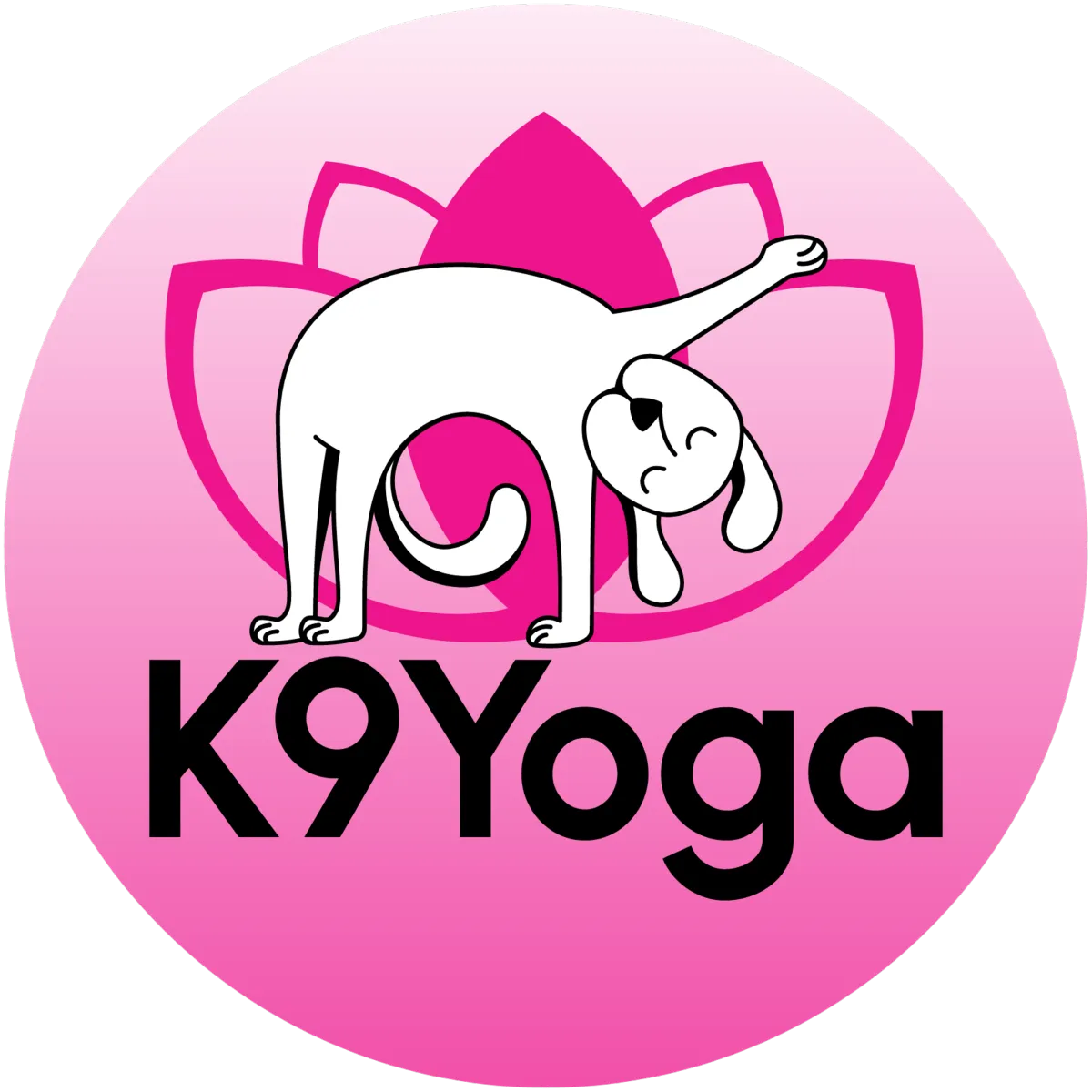 PetFit K9Yoga class in session
