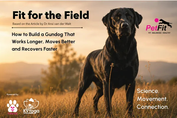 Fit for the Field: How to Build a Gundog That Works Longer, Moves Better and Recovers Faster