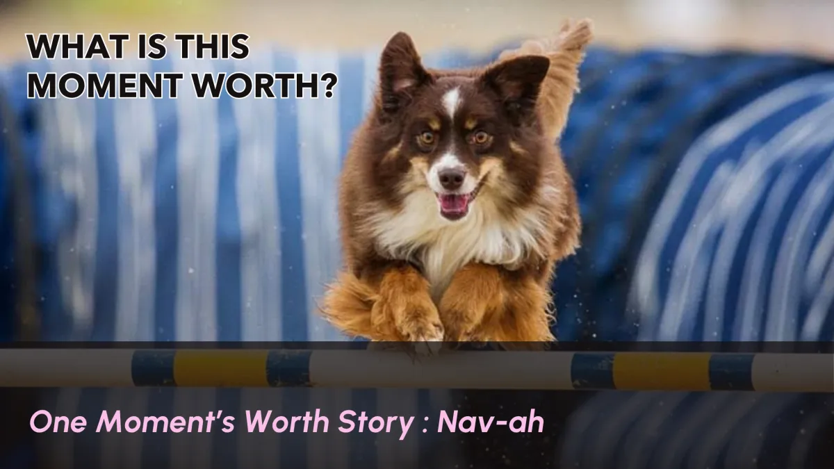 What is this moment worth?