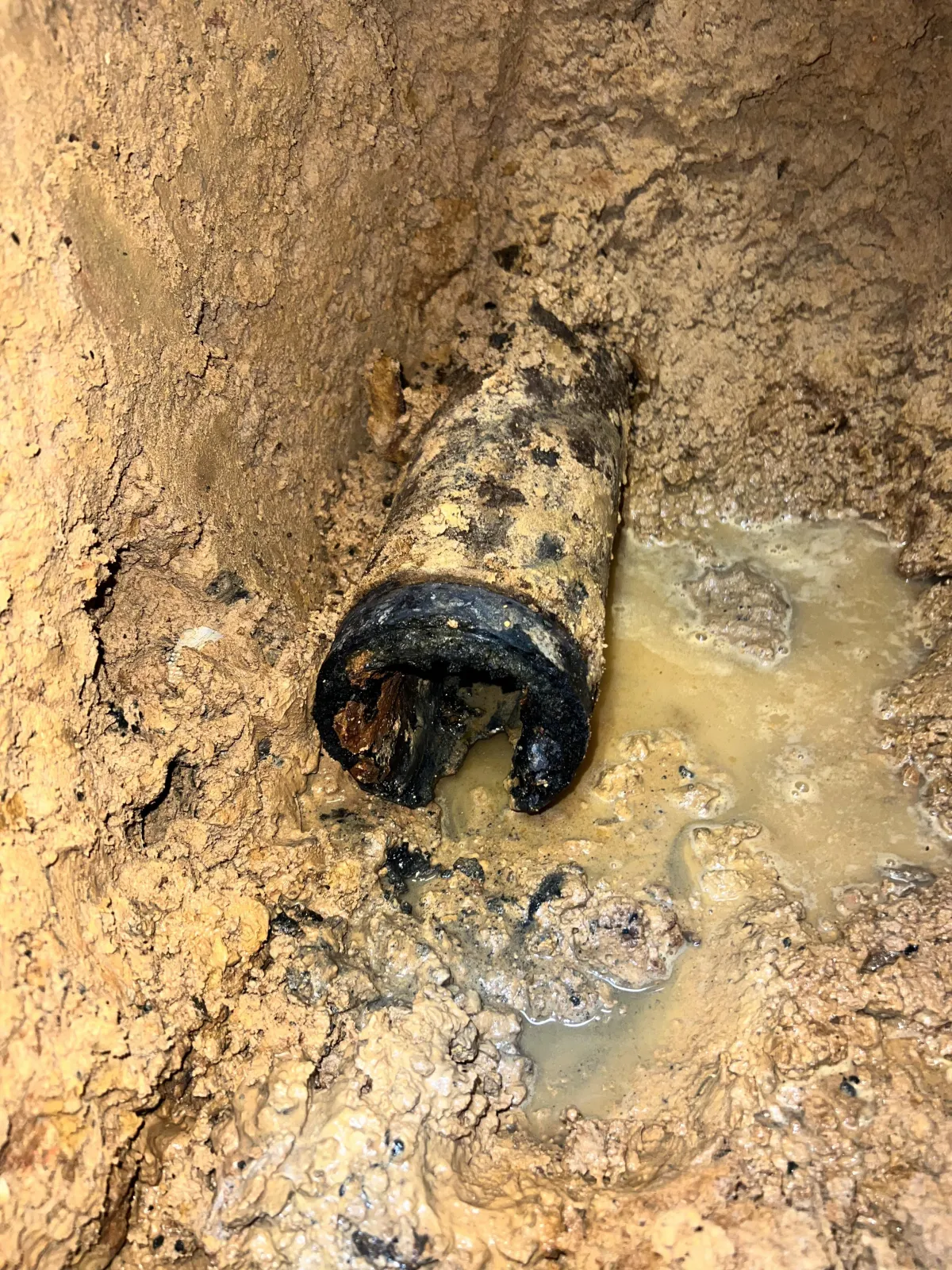 Drain Cleaning and Clog Removal