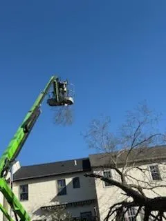 Excavation & Hardscape in 