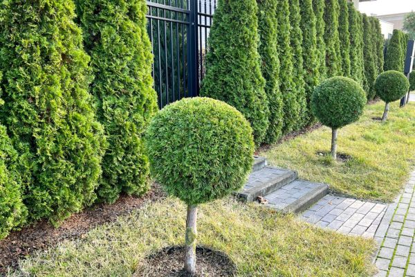 Excavation & Hardscape in 