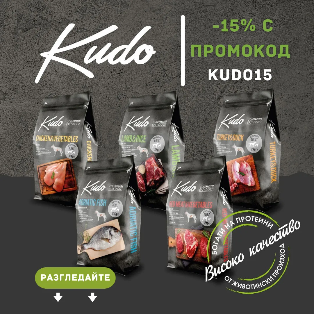 kudo-banner