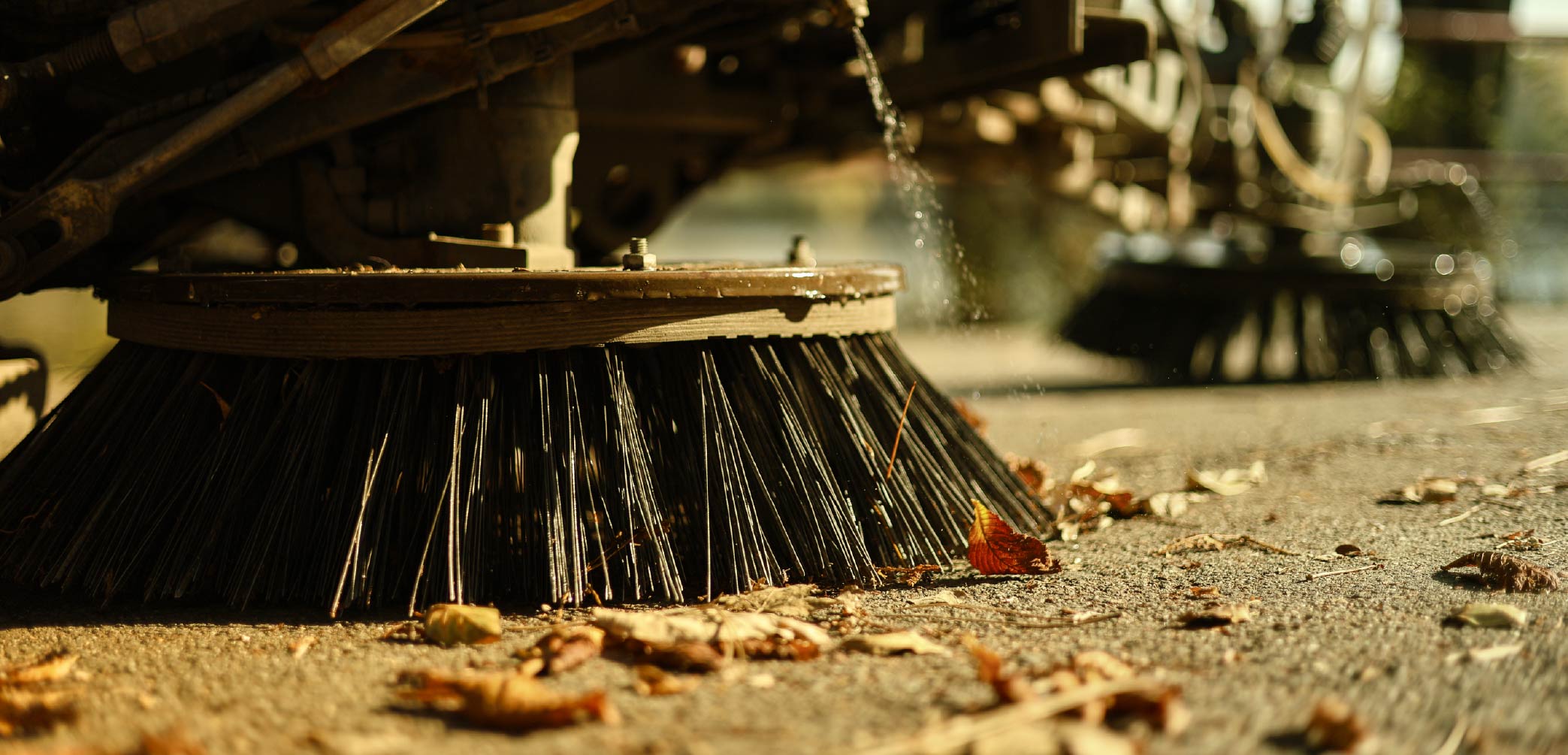 Cleaning & Preparation