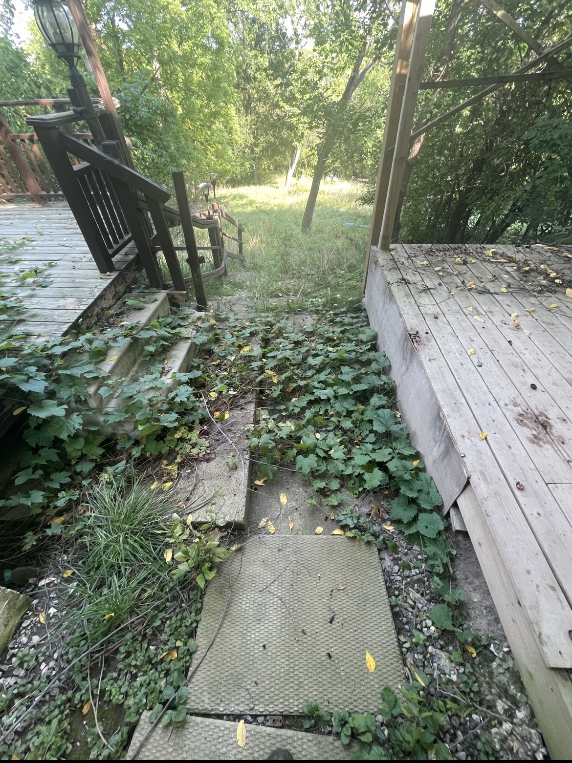 brouwer niagara before photo