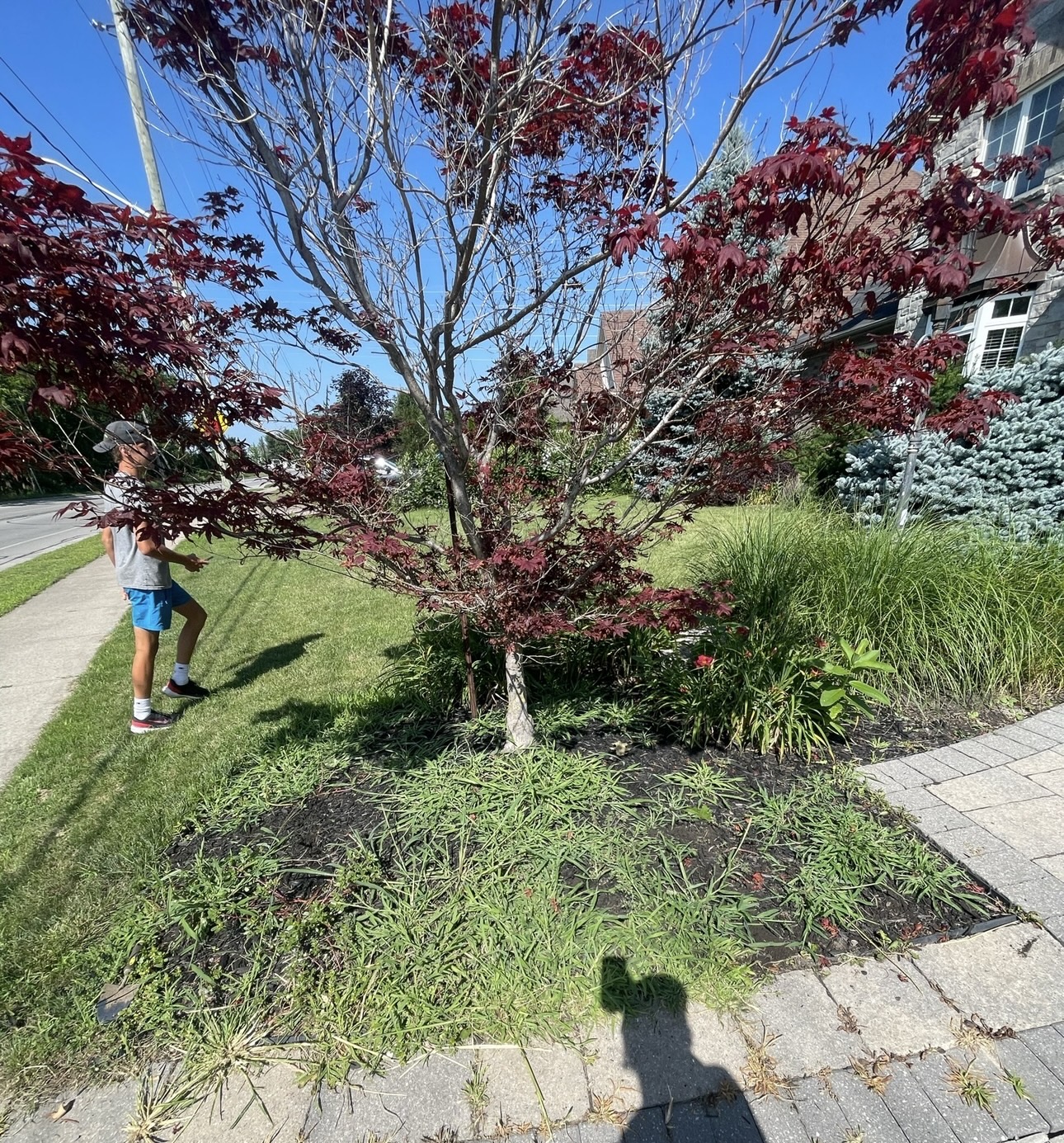 brouwer lawn care niagara