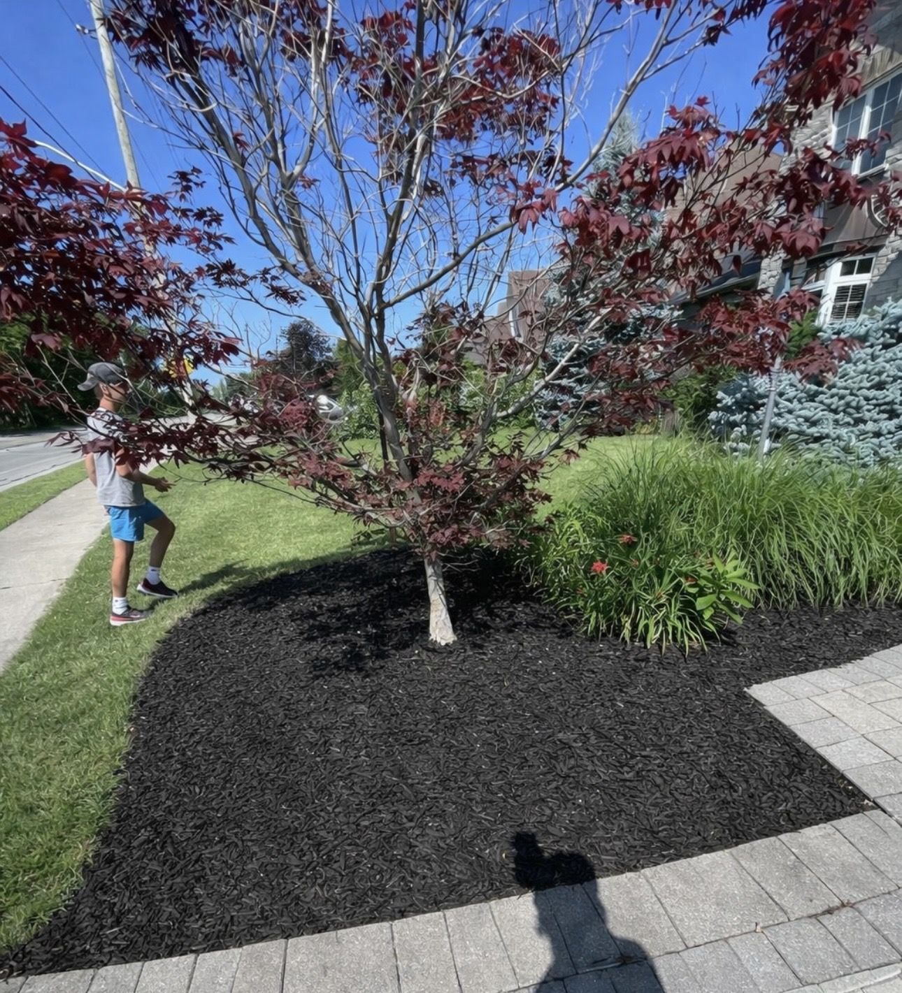 brouwer lawn care niagara