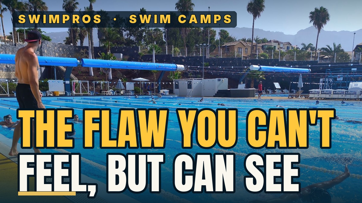 Best Swim Training Camp to Fix Stroke Technique