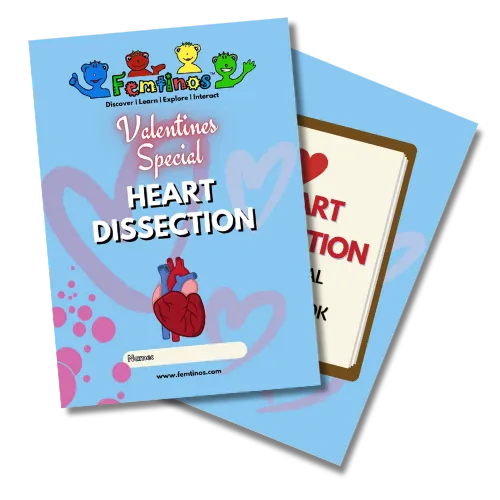 A5 Femtinos Heart Learning Journal