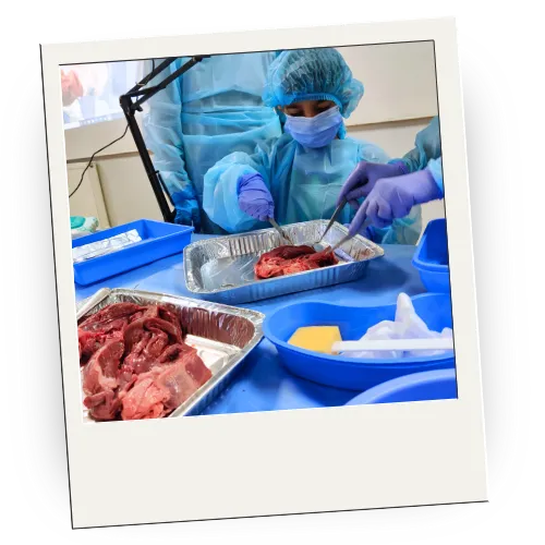 Femtinos 4 Hour Interactive Camp