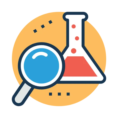 Femtinos Heart Anatomy
