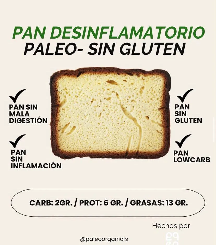 Sello circular Paleo Organic en color turquesa