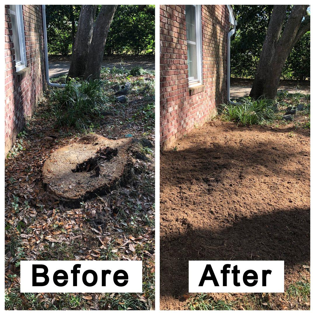 Before & After Stump Grinding long Island