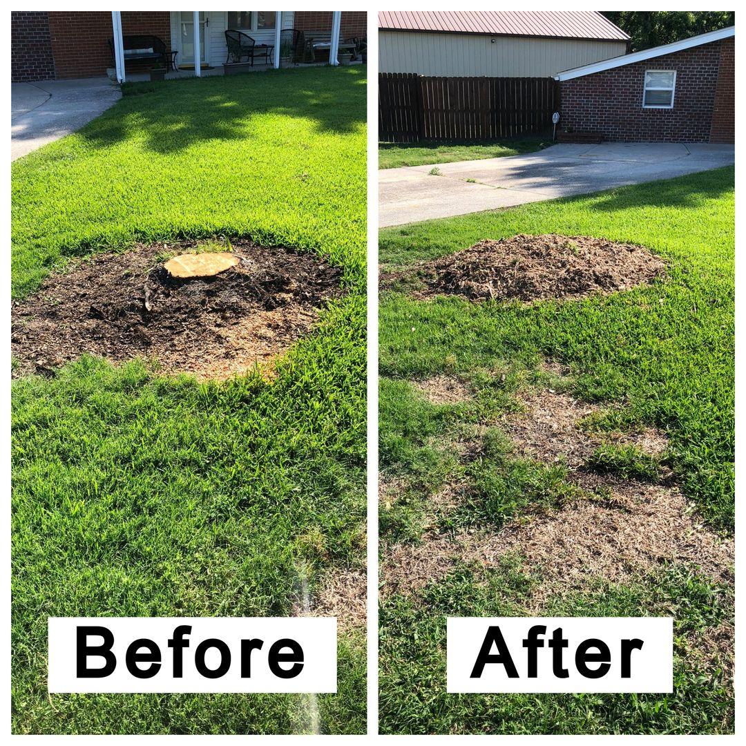 Stump Removal Long Island before & After
