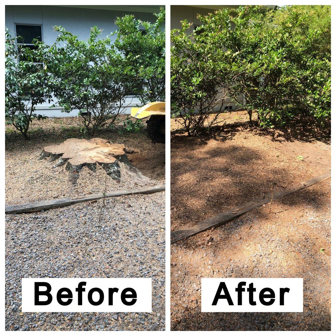 Stump Grinding Long Island before & After