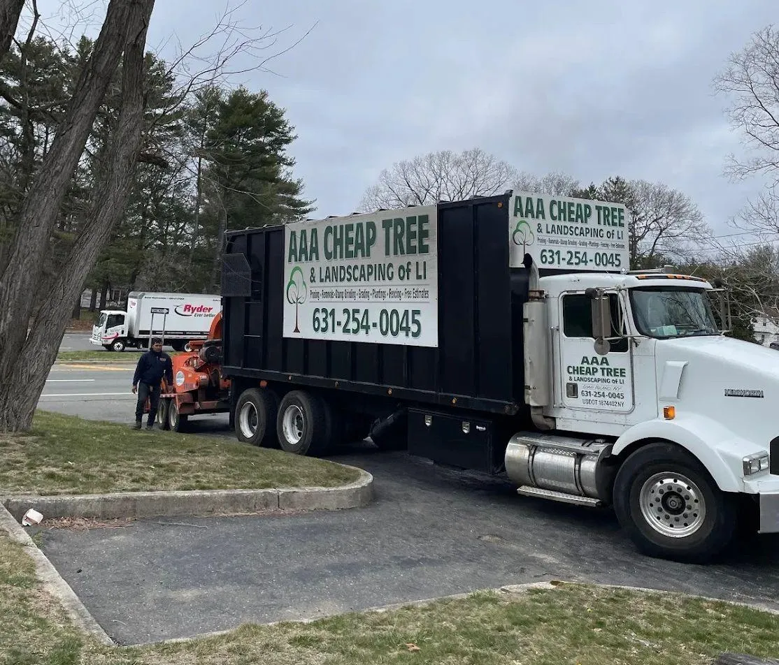 Long Island Tree Removal Truck