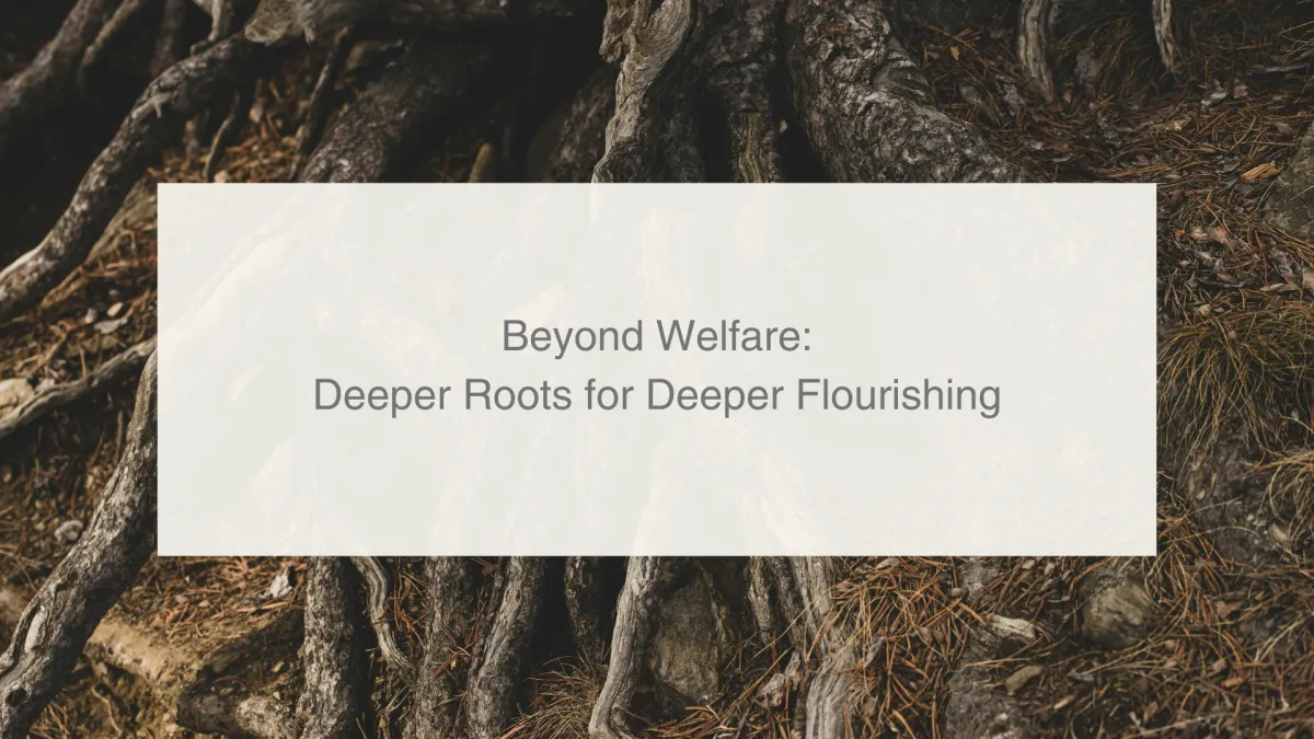 Beyond Welfare Missions: Deeper Roots for Deeper Flourishing