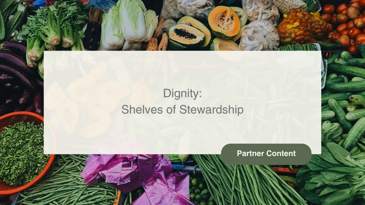 DIGNITY: Shelves of Stewardship 	