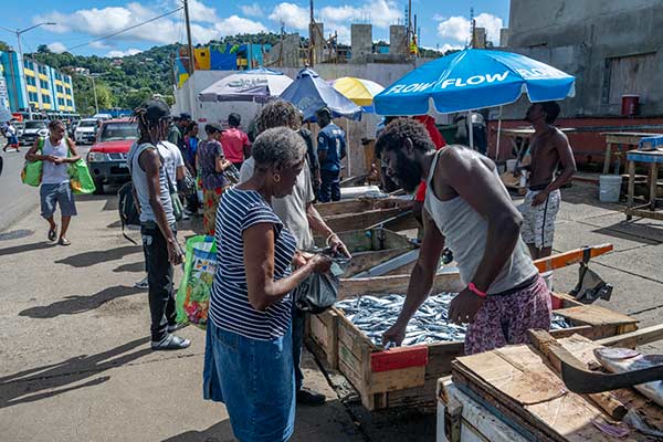 Local vendors selling fresh fish at the Castries market in Saint Lucia with residents buying seafood in a busy Caribbean street market.