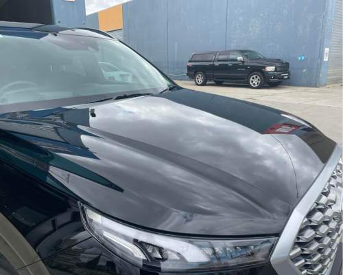  Ceramic Paint Protection
