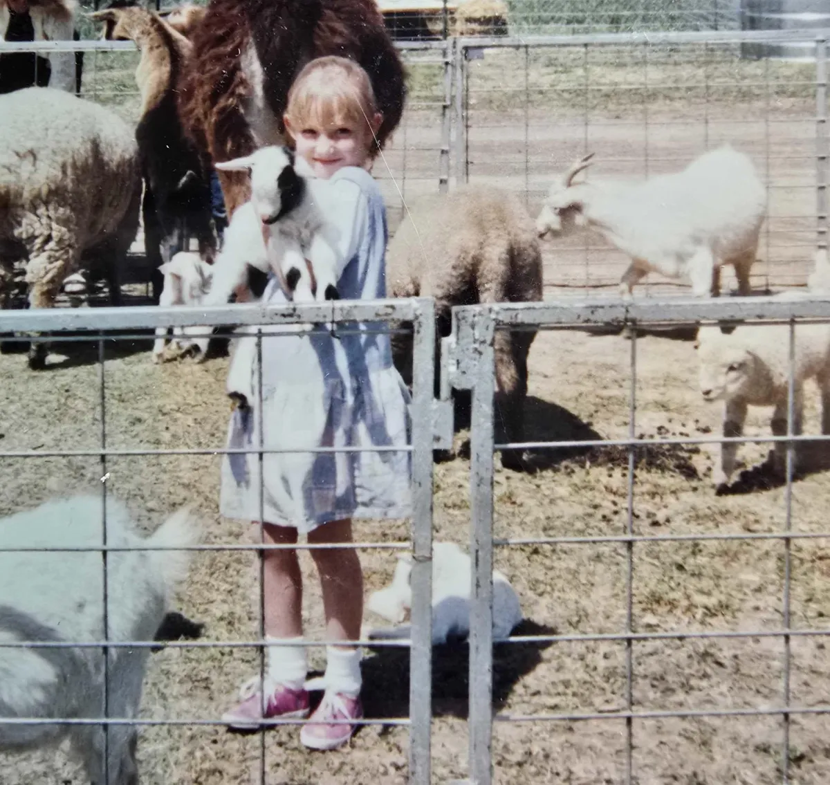 Amanda's lifelong love of animals led her to an unexpected lesson: we rarely see the whole picture. A conversation about compassion, perspective, purpose, and the practices that help us keep showing up when life feels heavy.