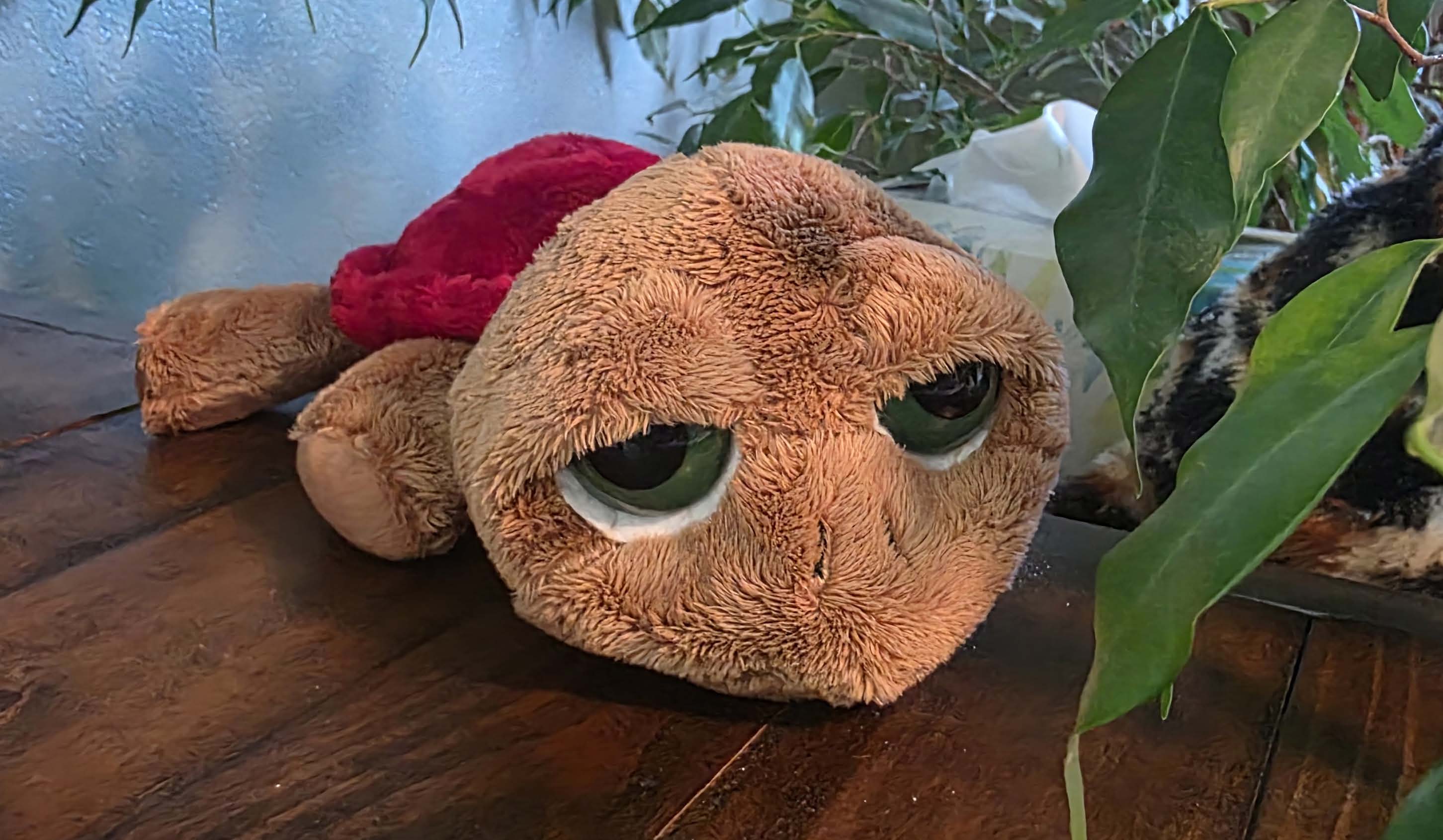 I sobbed into a stuffed turtle