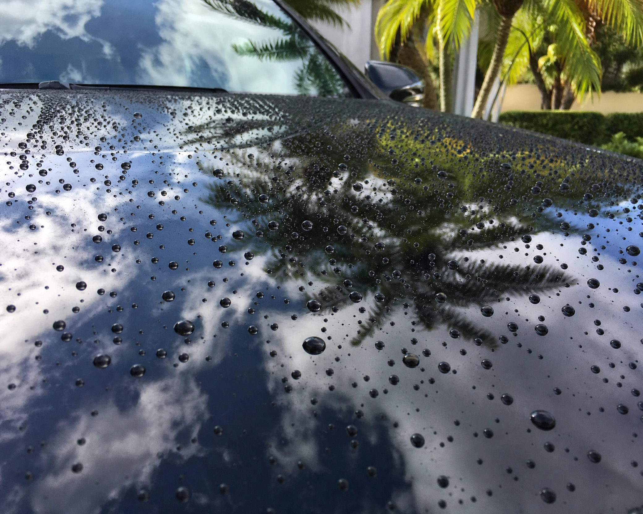  Auto Body Repair