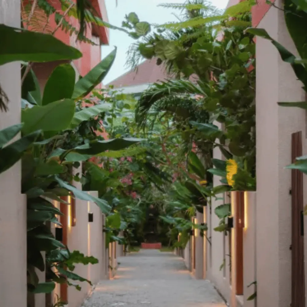 Bali Property Investment