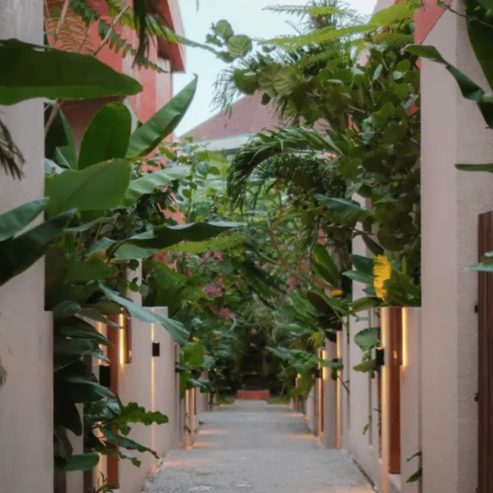 Bali Property Investment