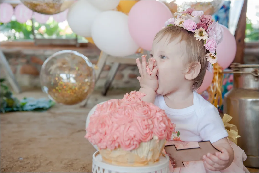 Cake Smash Celebration at Happy Hippo