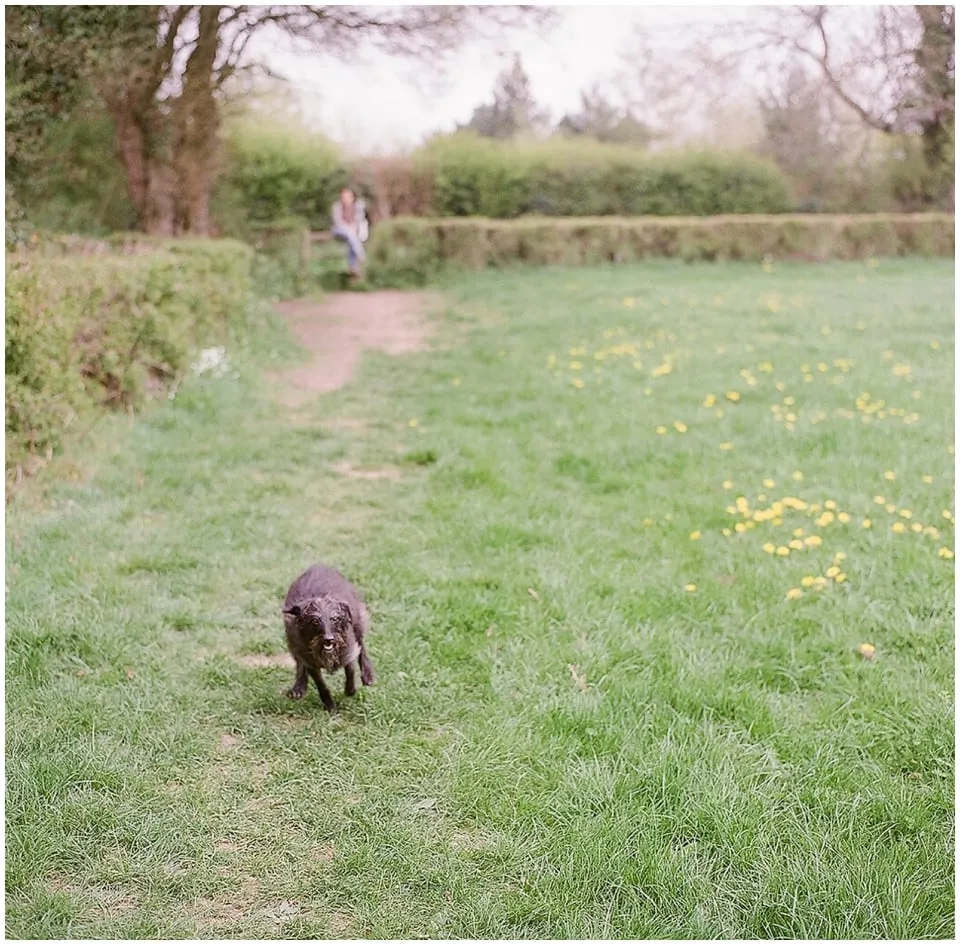 LOVE FILM {01}
