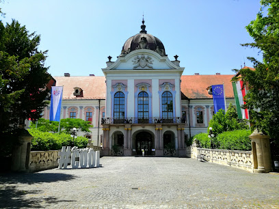 Gödöllő területe