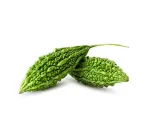 bitter melon