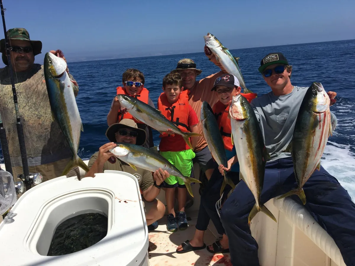 A spotted anglerfish with large fins and mouth