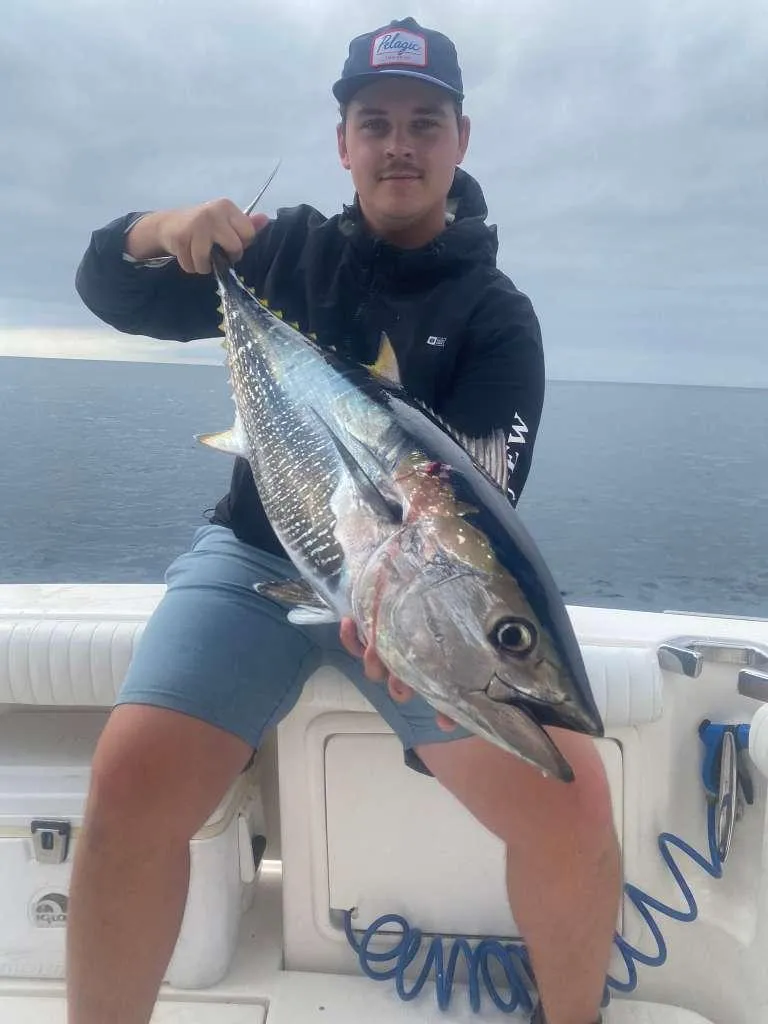 A group of birds standing on top of a large body of water