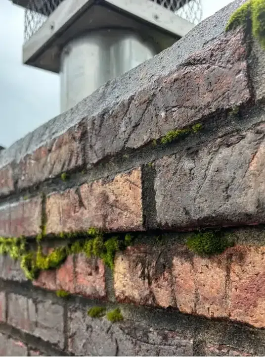 Brick chimney on a Cincinnati home showing algae stains and water damage due to lack of waterproofing—common issue in Ohio’s humid, rainy climate.