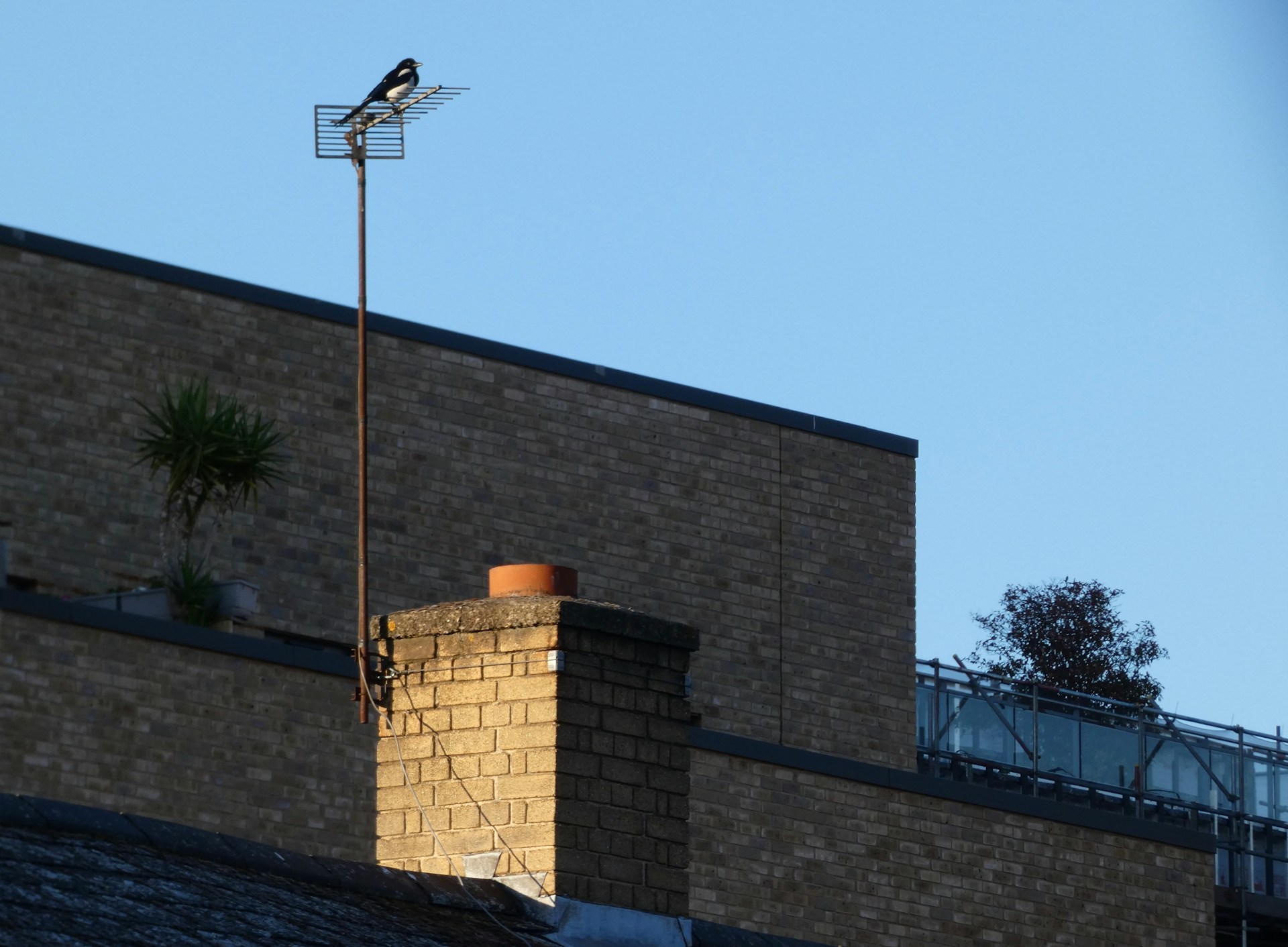 Detecting Roof Leaks Around Your Chimney Before They Spread