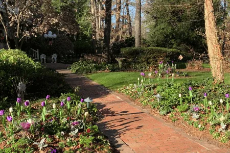 landscape-services-near-me