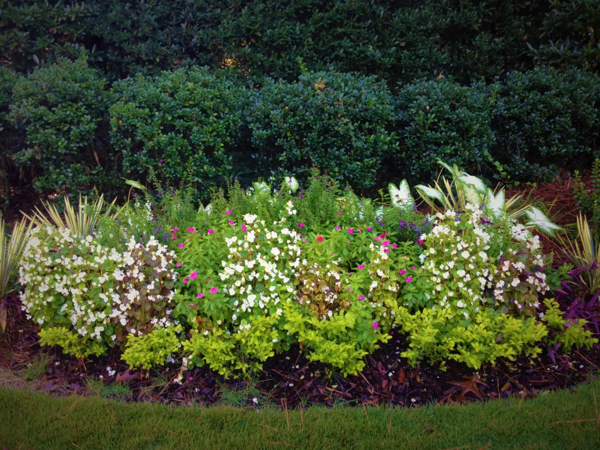 landscape-services-near-me