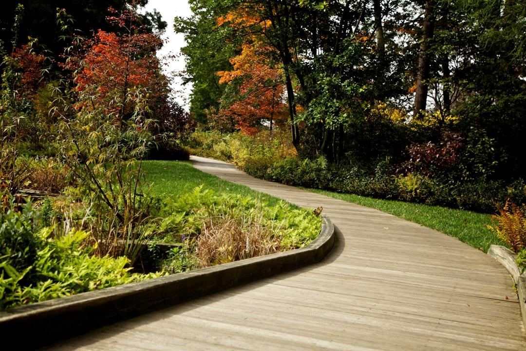 landscape-services-near-me