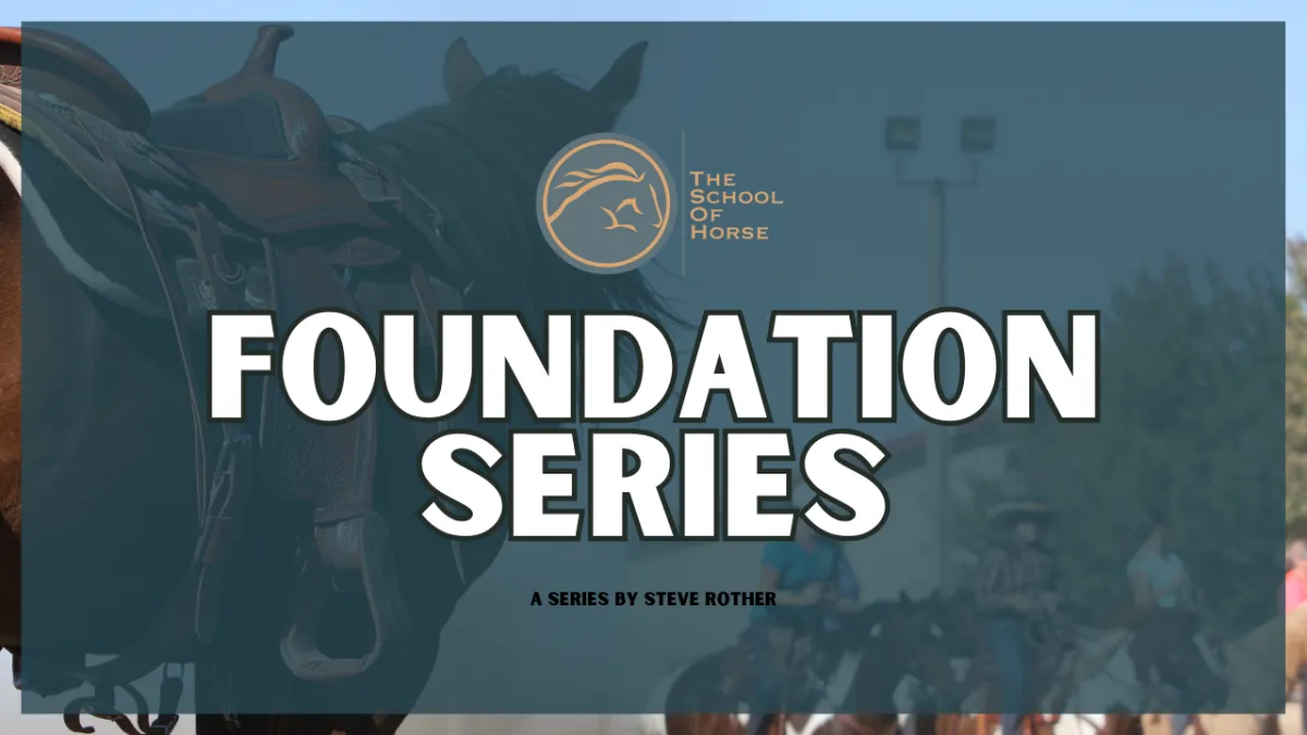 Foundation Series img