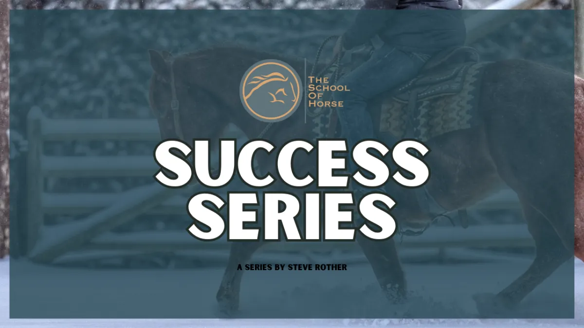 Success Series img