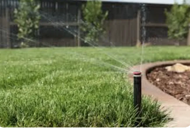 Tree & Shrub Care Elkhart